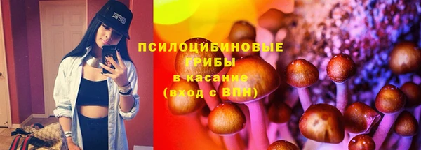 крисы Михайлов