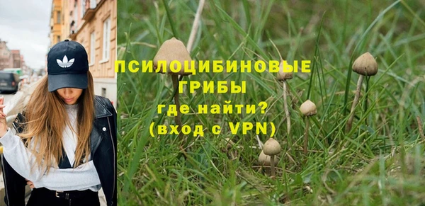 крисы Михайлов