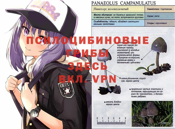 крисы Михайлов