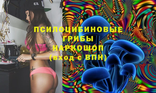 крисы Михайлов