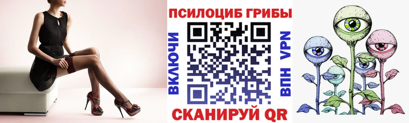 Псилоцибиновые грибы GOLDEN TEACHER  продажа наркотиков  hydra ссылки  Нальчик 